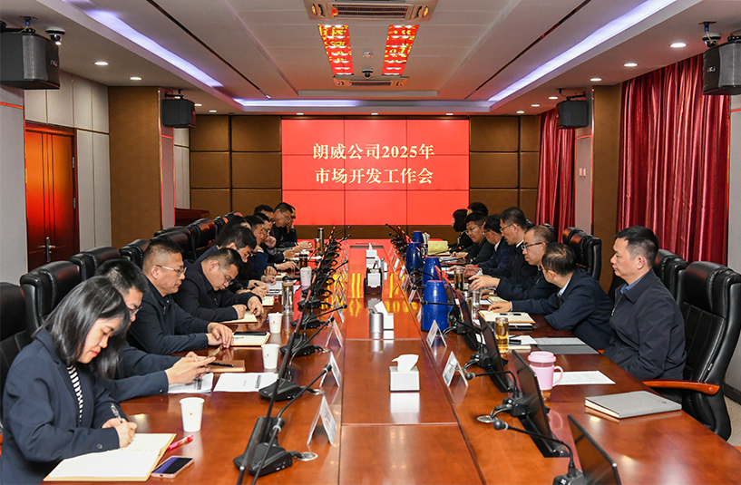 朗威公司召開2025年市場開發(fā)工作部署會